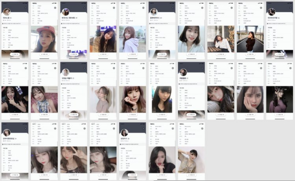 실제 만들어진 가짜 여성의 계정 [사진=공정거래위원회]