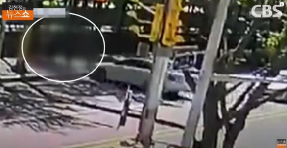 지난 8일 대전 스쿨존 내 인도를 걷다 60대 만취차량에 치여 숨진 故 배승아(9)양의 생전 모습. [사진=CBS 라디오 &lsquo;김현정의 뉴스쇼&rsquo; 유튜브 화면 캡쳐]
