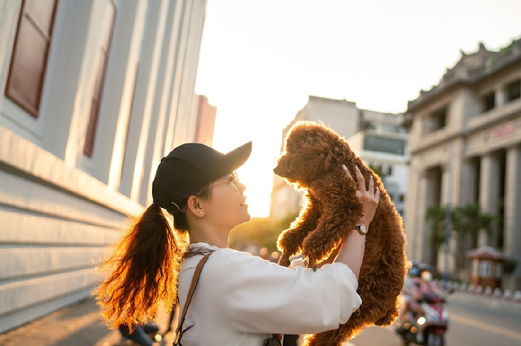 반려견을 안고 집 엘리베이터를 탔다가 이웃에게 내리라는 이야기를 들었다는 한 견주의 사연이 전해졌다.  본 기사와 무관한 이미지. [사진=픽사베이]