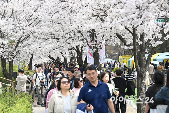 3일 오전 서울 여의도 윤중로 벚꽃길에서 시민들이 꽃놀이를 즐기고 있다. 윤중로 벚꽃길은 8일까지 여의도 봄꽃축제를 위해 교통이 전면통제된다. [사진=곽영래 기자]