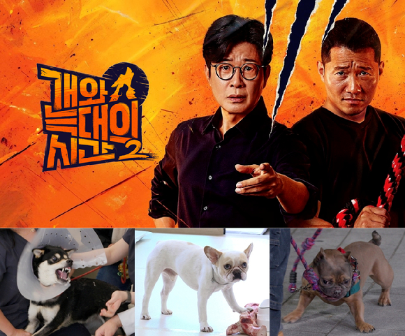'개늑시2' SNS 누적 3억뷰⋯밈이 된 '강형욱킥'