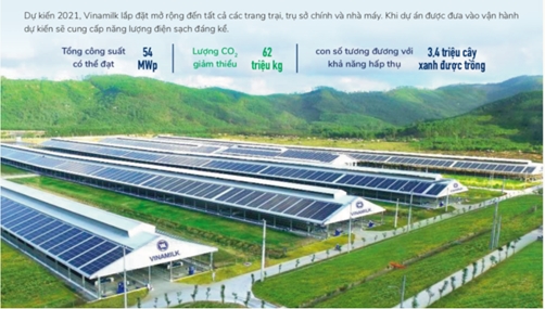 재생가능한 태양광 에너지를 활용한 베트남 민간기업 비나밀크의 농장. [사진=코트라]