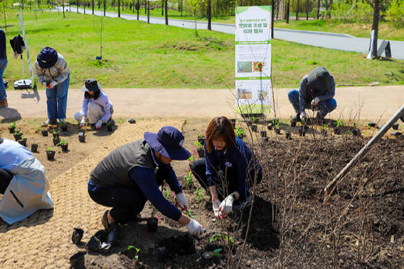 한국수목원정원관리원(이사장 심상택)은 16일 iM뱅크와 공동으로 국립세종수목원 내 유휴부지에 '도시 생물다양성 모델숲'을 조성했다고 밝혔다. [사진=산림청 ]