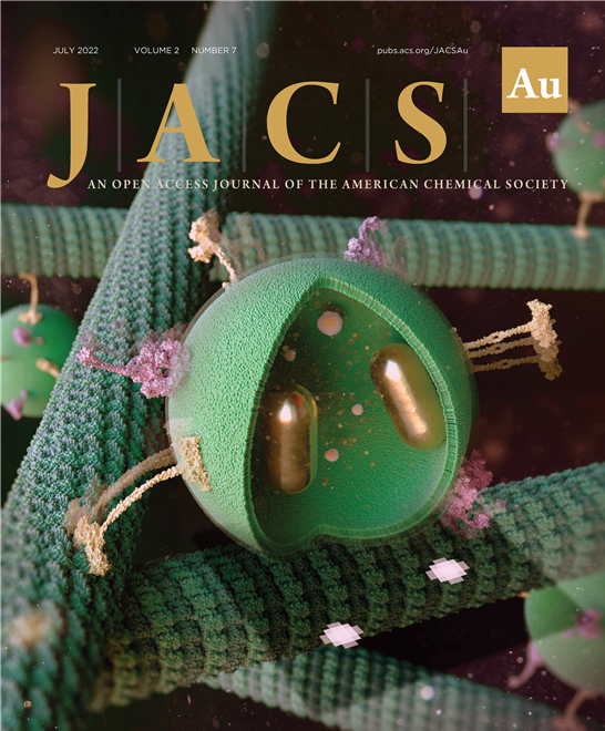 두 개의 GPS 나노입자가 포함된 엔도좀을 관찰하면, 회전 운동을 관찰할 수 있다. [사진=Journal of American Chemical Society Au]