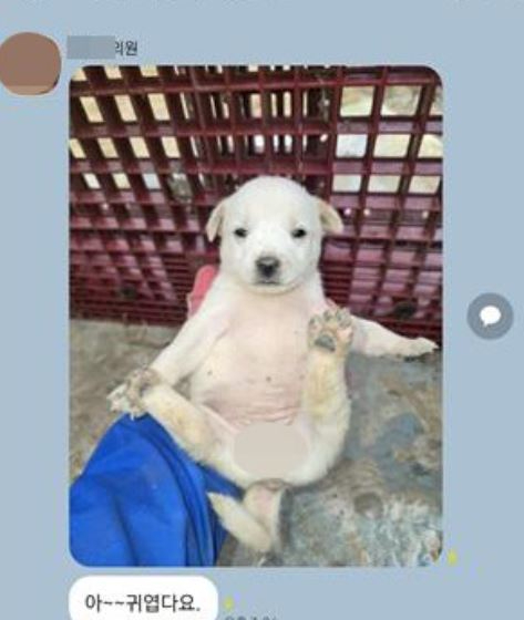 나주시의원 단톡방에 게시된 논란 사진. [사진=독자 제공, 연합뉴스]