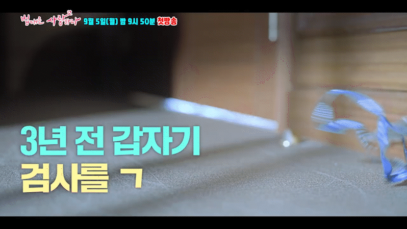 KBS 2TV 새 월화드라마 '법대로 사랑하라' 1차 티저 영상이 공개돼 관심을 모으고 있다. [사진=KBS 2TV '법대로 사랑하라' 1차 티저 영상 캡쳐]