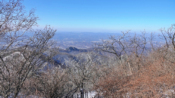 가지끝에 남아있는 설화(상고대) [사진=박성기 ]