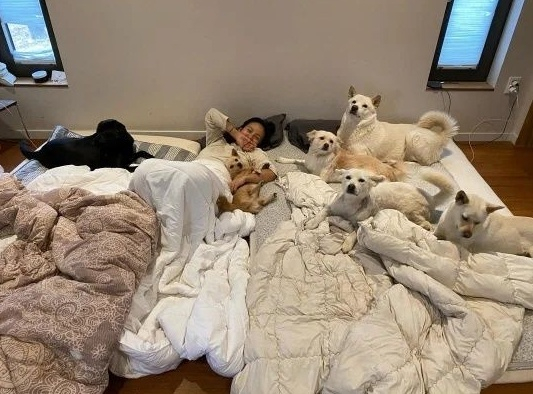 이효리 [사진=이효리 SNS]