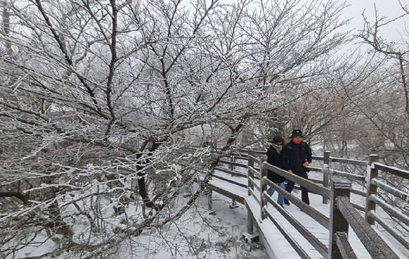 지난해 제주 한라산을 찾은 관광객들이 눈쌓인 탐방로를 걸어가고 있다. [사진=뉴시스]