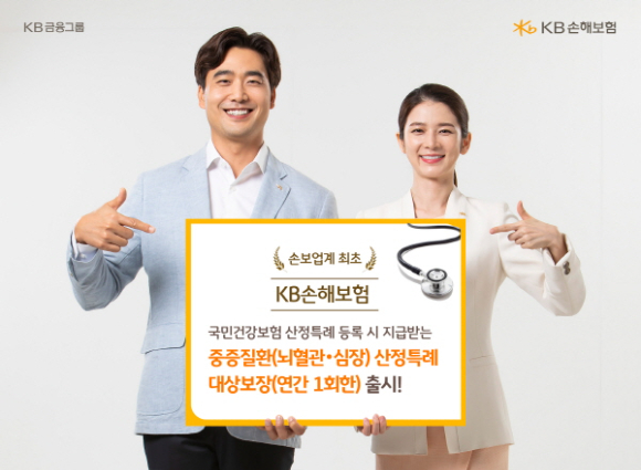 KB손해보험이 손보업계에서 최초로 '중증질환 산정특례 대상 보장 특약'을 출시했다. [사진=KB손해보험]