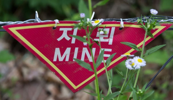 서부전선 비무장지대(DMZ)에서 원인 미상의 폭발 사고가 발생해 육군 간부 1명이 다쳤다. 사진은 비무장 지대 지뢰 푯말. [사진=연합뉴스]