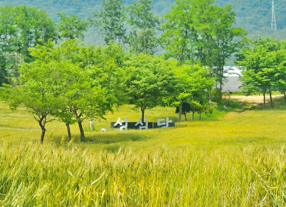 성심당 밀밭농원 [사진=성심당 인스타그램]