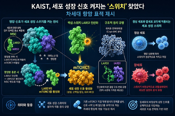 세포 성장 신호 '스위치' 찾아…차세대 항암 치료 새로운 전환점