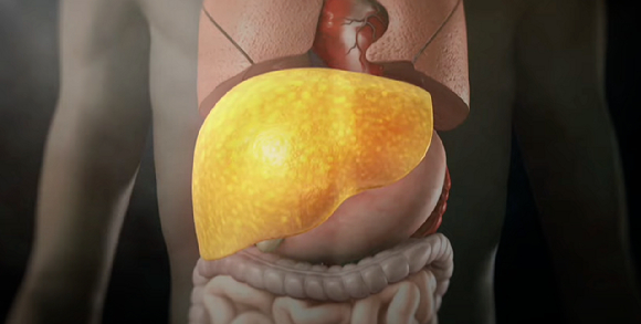 과음이 쌓이면 지방간, 간경변, 간암 등의 질병이 발생하며 목숨을 위협하게 된다. 본 기사와 무관한 이미지. [사진=픽사베이]