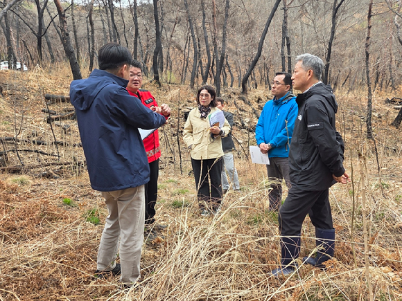 이상익 산림청 산림산업정책국장(오른쪽에서 두번째)이 31일 경상북도 의성군에서 산불피해 임업경영체 현장을 점검하고 있다. [사진=산림청 ]
