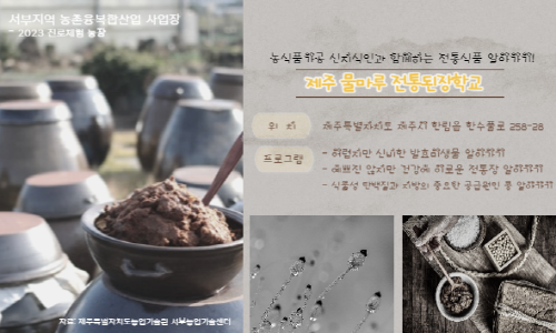 지난해 실시된 제주 물마루 전통 된장 학교 [사진=서부농업기술센터]