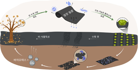 KAIST 연구팀이 버려진 낙엽으로 분해되는 농업용 필름을 개발했다. [사진=KAIST]
