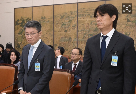 정몽규 전 대한축구협회장(왼쪽)과 홍명보 전 축구대표팀 감독이 30일 국회 문화체육관광위원회에서 열린 대한축구협회 현안 관련 청문회에 증인으로 출석해 있다. [사진=연합뉴스]