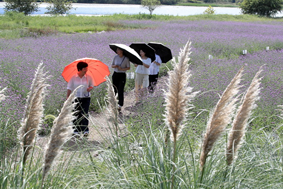 황룡강생태공원 전경 [사진=광주시 광산구]