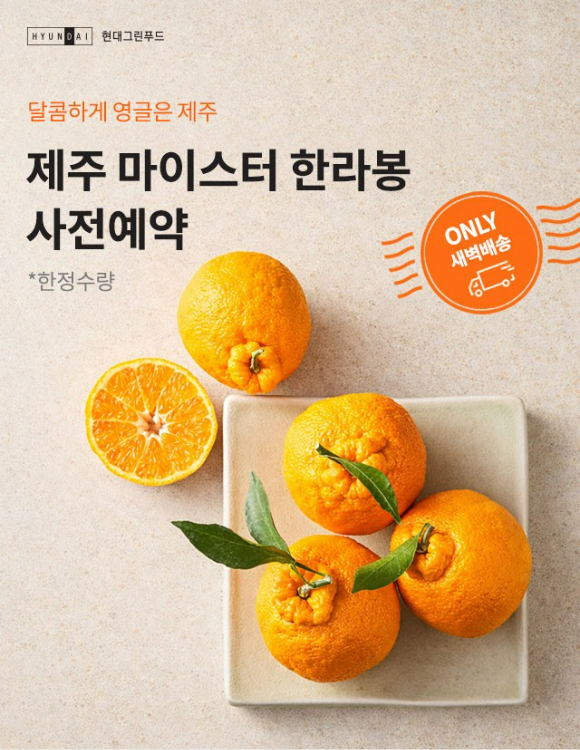 현대그린푸드 그리팅몰 '제주 마이스터 한라봉' 사전예약 대표 이미지. [사진=현대그린푸드]