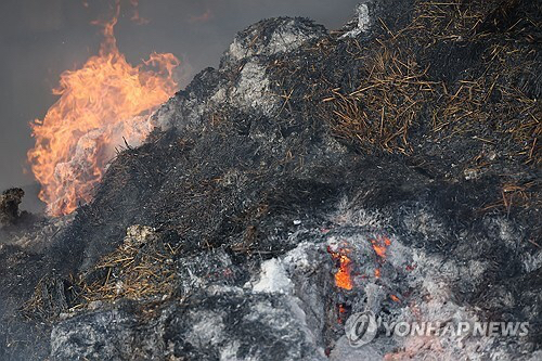 31일 경북 안동시 남후농공단지가 산불로 피해를 본 가운데 한 공장에 있는 사료 등이 여전히 불에 타고 있어 소방 당국이 진화 작업을 벌였다. 2025.3.31 [사진=연합뉴스]