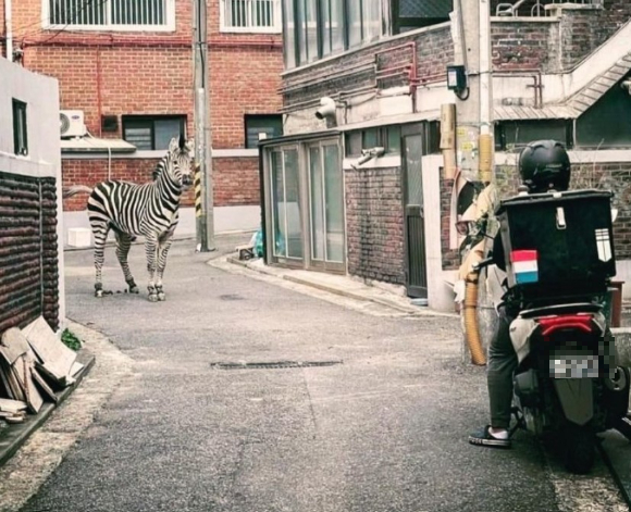 세로가 서울 광진구 한 골목길에서 오토바이 배달원과 대치하고 있다. [사진=온라인 커뮤니티 캡처]