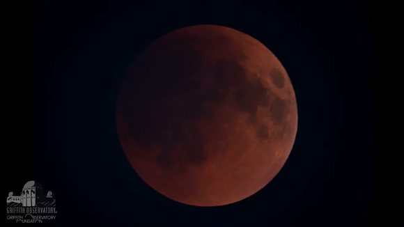 미국 그리피스천문대가 15일 일어난 개기월식을 생중계했다. 지구 본영에 들어간 달이 붉게 보인다. [사진=그리피스천문대]