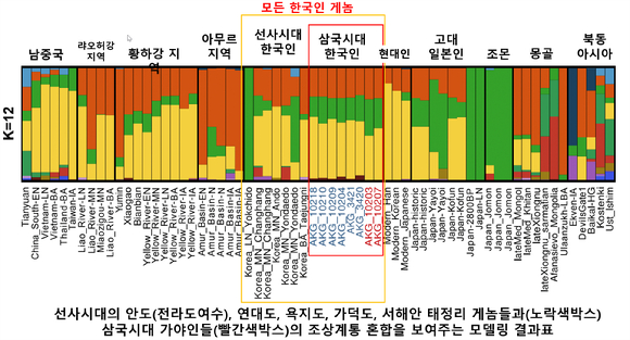 삼국시대 한국인과 선사시대, 현대 아시아인의 유전적 구성을 비교한 유전적 혼합비율 그래프.  X 축의 파란색과 빨간색의 이름들이 8명의 삼국시대 게놈들이다. 이들 삼국시대 가야인들에겐 지금의 중국인, 일본인, 한국인보다, 일본계 조몬인의 유전적 요소(녹색계열)가 상대적으로 더 많다. 조몬계로 불리는 선사시대 종족이 한반도에도 있었다고 이해할 수 있다. [사진=UNIST]