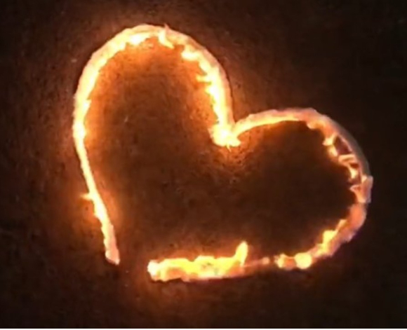  [사진=틱톡 캡처]