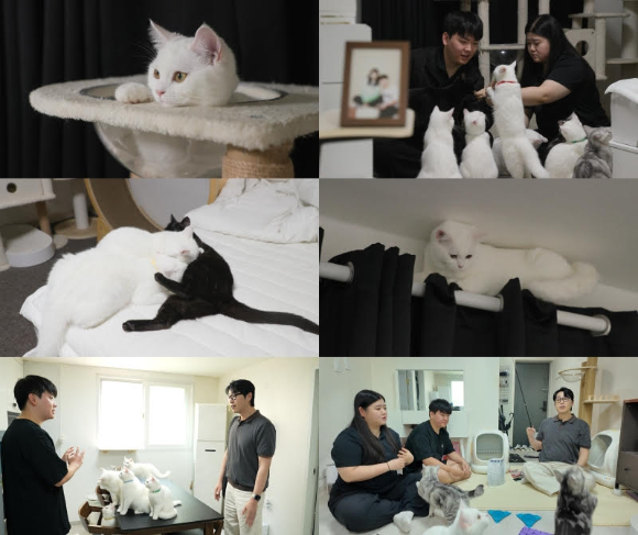 고양이를 부탁해8 [사진=EBS ]