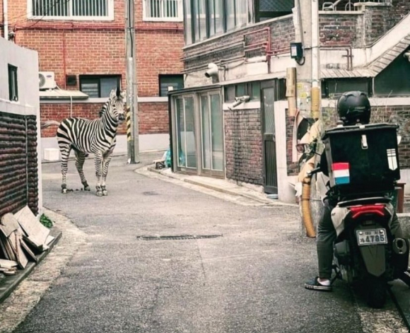 세로가 서울 광진구 한 골목길에서 오토바이 배달원과 대치하고 있다. 사진은 기사와 무관. [사진=온라인 커뮤니티 캡처]