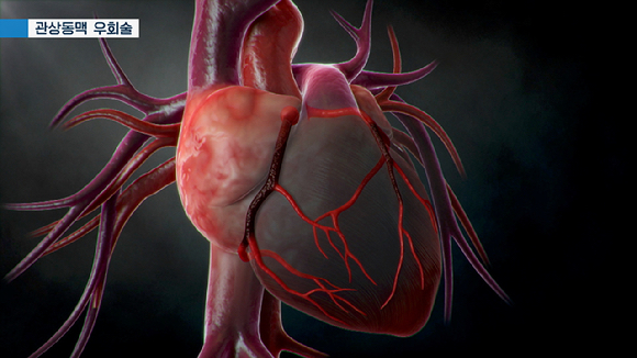 전신에 혈액을 공급하며 우리 몸의 펌프 역할을 하는 심장에 건강을 위협하는 질환이 있다. 바로 '심혈관질환'이다. [사진=EBS]