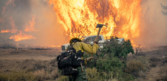 미국에서는 지난해  '딕시 산불' 등 대형 산불이 발생해 큰 피해를 입었다. [사진=조 브래드쇼(Joe Bradshaw)/미국 토지관리국]