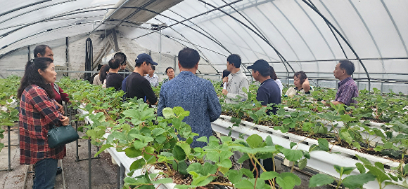 진천군 ‘생거진천딸기작목반’이 농촌진흥청 주최 2023년 최고품질 농산물 생산단지 심사에서 최우수상을 수상했다. [사진=진천군]