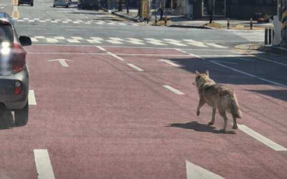 이재명 대통령이 지난달 30일 제주한라대학교 한라컨벤션센터에서 열린 타운홀미팅 '제주의 마음을 듣다'에서 발언하고 있다. [사진=연합뉴스]