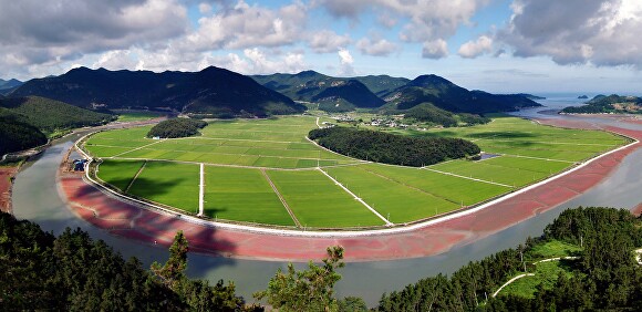 전라남도의 친환경농업단지 전경 [사진=전남도]