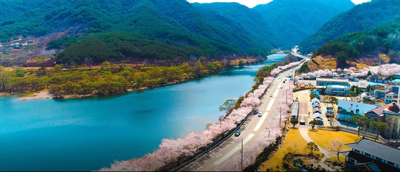 산림청으로부터 2022년 모범 도시숲으로 선정된 화개 십리벚꽃길 전경. [사진=산림청]