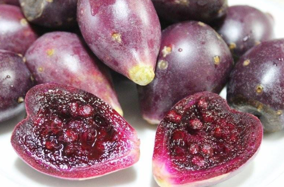  선인장 열매가 혈당과 콜레스테롤 등 대사 지표 개선에 관여할 수 있다는 연구 결과가 나왔다. 사진은 AI 생성 이미지로, 본 기사 내용과 무관. [사진=챗GPT]