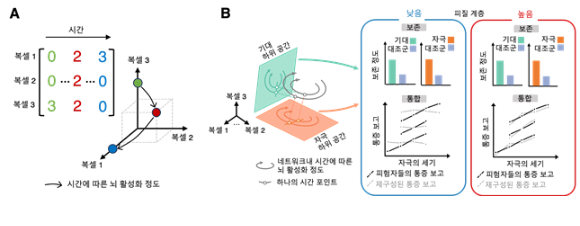 IBS 연구팀이 통증 예측과 외부 자극이 통합돼 나타나는 ‘통증의 비밀’을 알아냈다. [사진=IBS]