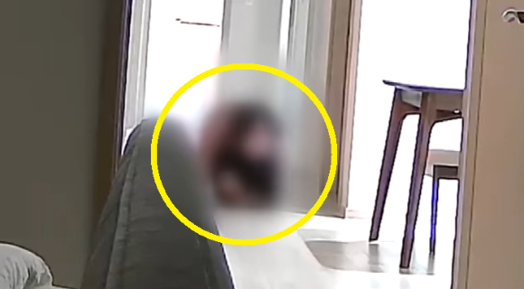 집들이를 하던 중 참석한 여성이 기어서 거실을 가로지르는 장면이 홈캠에 찍혔다 [사진=JTBC '사건반장']