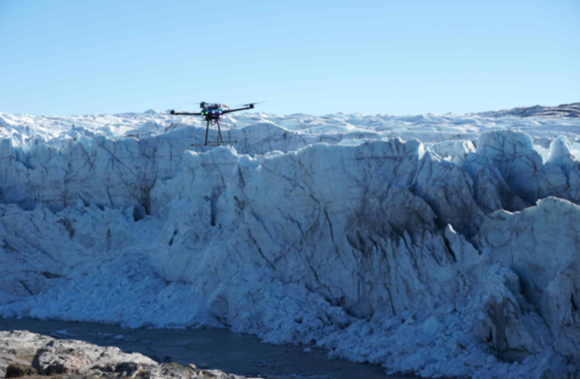 해당 게시물. [사진=X @MISS WHITE]