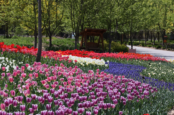 국립백두대간수목원 진입광장 [사진=한국수목원정원관리원]