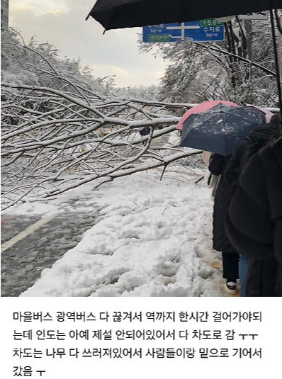 폭설이 쌓인 28일 힘겹게 출근을 하는 직장인들의 사연이 공감을 얻었다. [사진=온라인 커뮤니티]