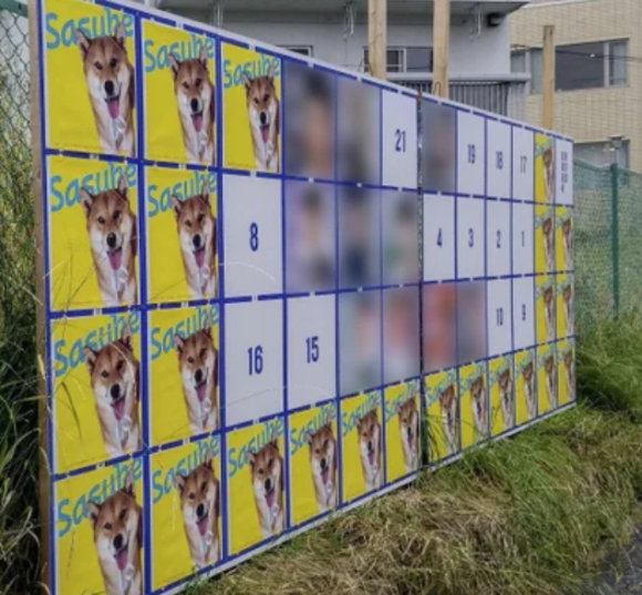 일본 도쿄에서 선거철마다 외설적인 선거 포스터가 등장해 당국이 몸살을 앓고 있다. [사진=go2senkyo.com]