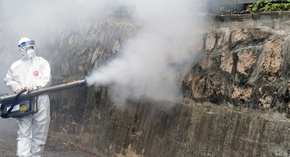 지난해 여름 대거 출몰하며 기승을 부린 '러브버그'가 최근 서울 은평구를 중심으로 다시 출현했다. [사진=몰상식 유튜브 영상 캡처]
