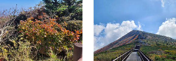 2일 중청대피소 인근(왼쪽)과 중청대피소에서 바라본 대청봉 [사진=설악산국립공원사무소]