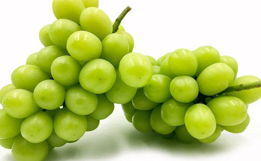 맛있는 샤인머스캣을 고르는 방법에 대한 전문가의 의견이 공개됐다. 사진은 샤인머스캣. [사진=Tempo.co English]