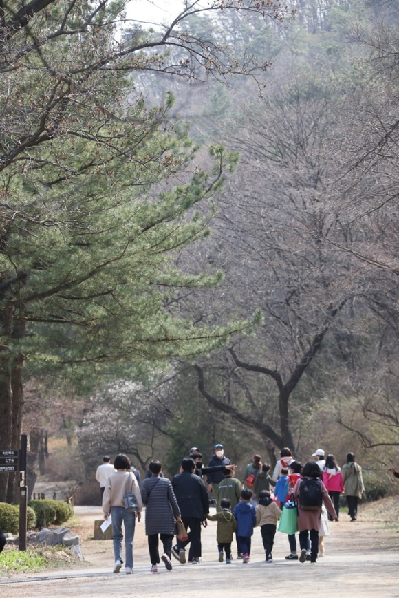 서울대 관악수목원이 오는 15일부터 다음달 8일까지 개방된다. 지난해 개방 당시 시민들이 여가를 보내고 있다. [사진=안양시]