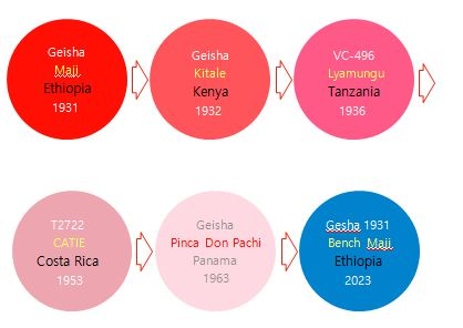 ◇김태호 커피 매거진 '드립' 편집장