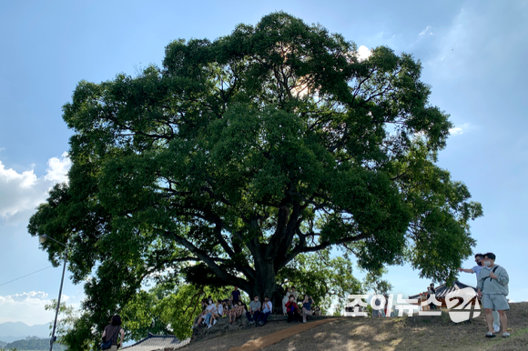 관광객들이 29일 경상남도 창원시 의창구 대산면 동부마을에 있는 팽나무 그늘에서 휴식을 취하고 있다. [사진=문수지 기자]